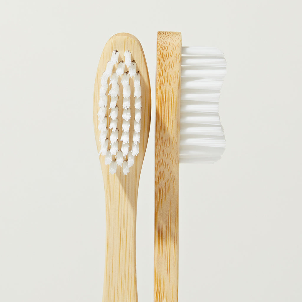 Adult Toothbrush - 2 pack