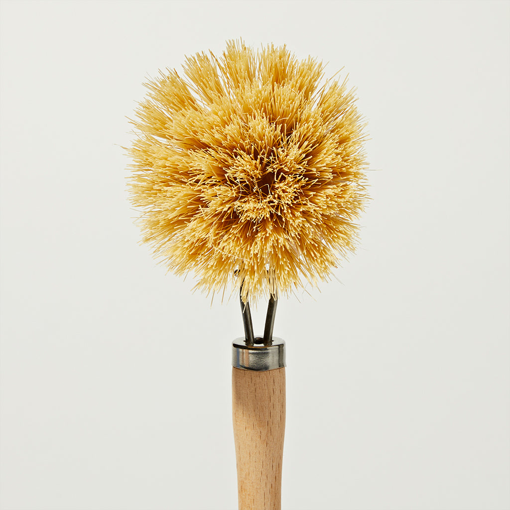Package Free Dish Washing Brush